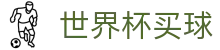 FIFA 2026世界杯买球SHIJIEBEI(中文)官方入口 - 世界杯APP下载